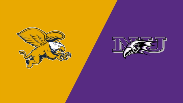 足球发展模 足球发展模